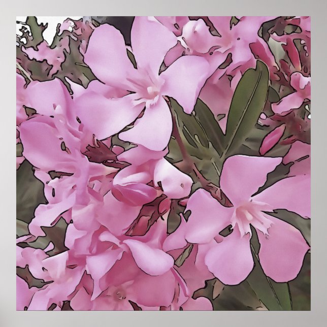 Pink Oleander Rose Laurel Schwarze Kontur Kunst Poster (Vorne)