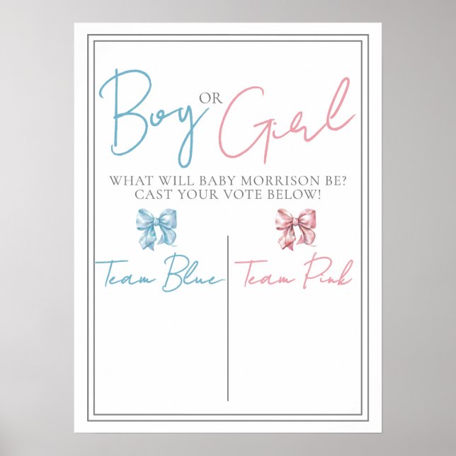 Pink Or Blue Gender Reveal Party Vote Sign Poster (Vorne)