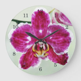 Pink Orchid Große Wanduhr