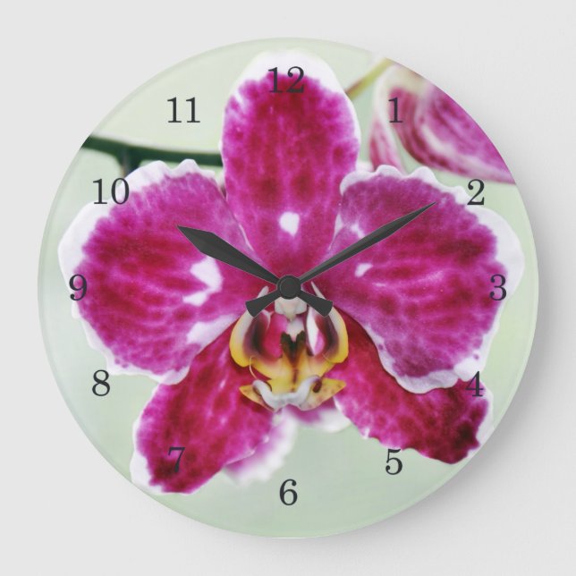 Pink Orchid Große Wanduhr (Vorderseite)