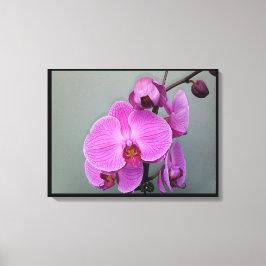 PINK ORCHID Leinwand