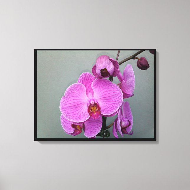 PINK ORCHID Leinwand (Vorderseite)