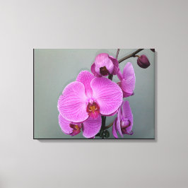 PINK ORCHID Leinwand