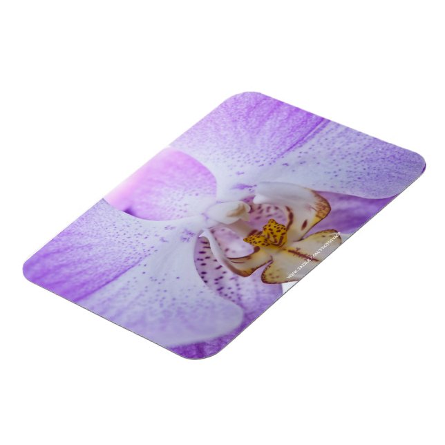 Pink Orchid Magnet (Linke Seite)