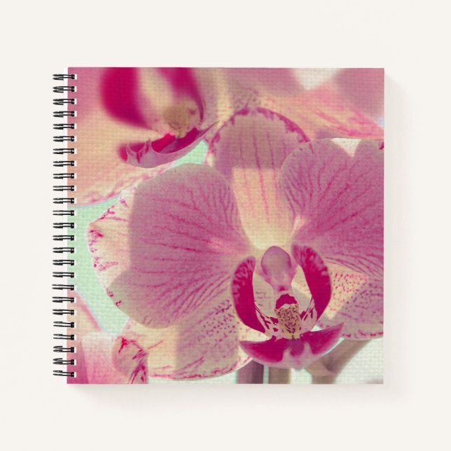Pink Orchid Notizbuch (Vorderseite)