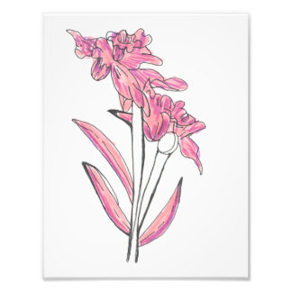 Pink Orchid Print Fotodruck