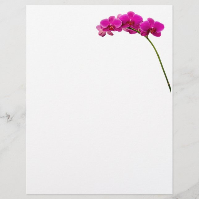 Pink Orchid Stationary (Vorderseite)