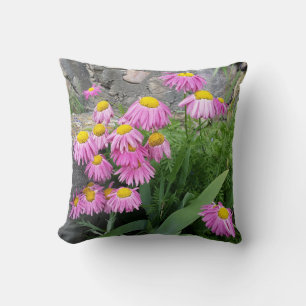 Pink Painted daisy Blume Naturfotografie Kissen