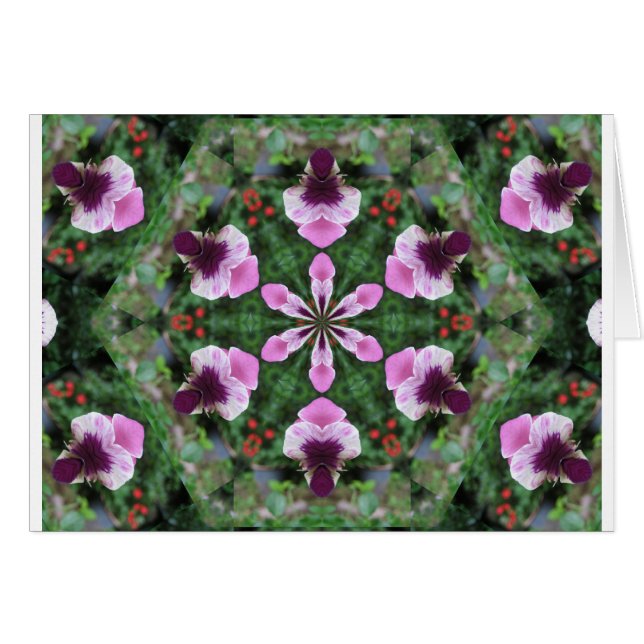 Pink Pansy (Vorderseite (Horizontal))