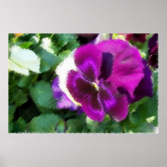 Pink Pansy Soft Sketch Poster (Vorne)