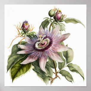 Pink Passion Flower Kunst Druck Poster