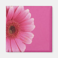 Pink Passion Magnet