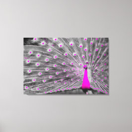 Pink Peacock Wrapped Canvas Leinwanddruck