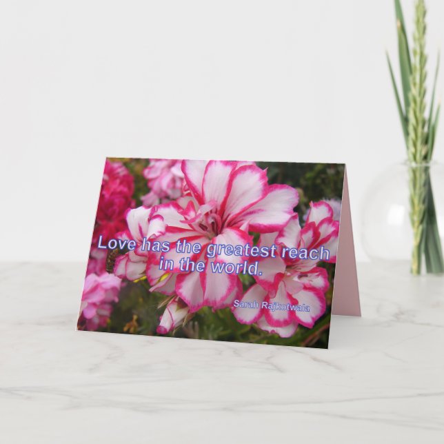 Pink Pelargonium Love a la plus grande carte flora (Devant)