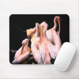 Pink Pelicans Mousepad