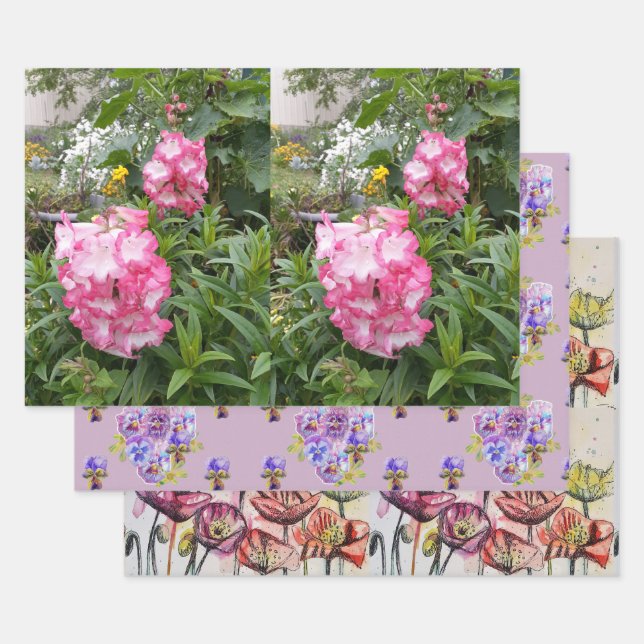 Pink Penstemon Blume Floral Poppies Geschenkpapier Set (Set)