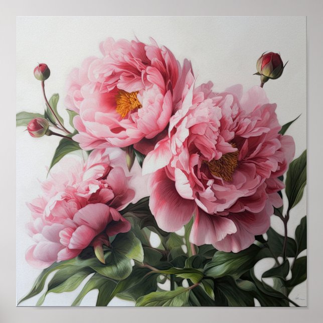 Pink Peongs Blume Art Print Poster (Vorne)