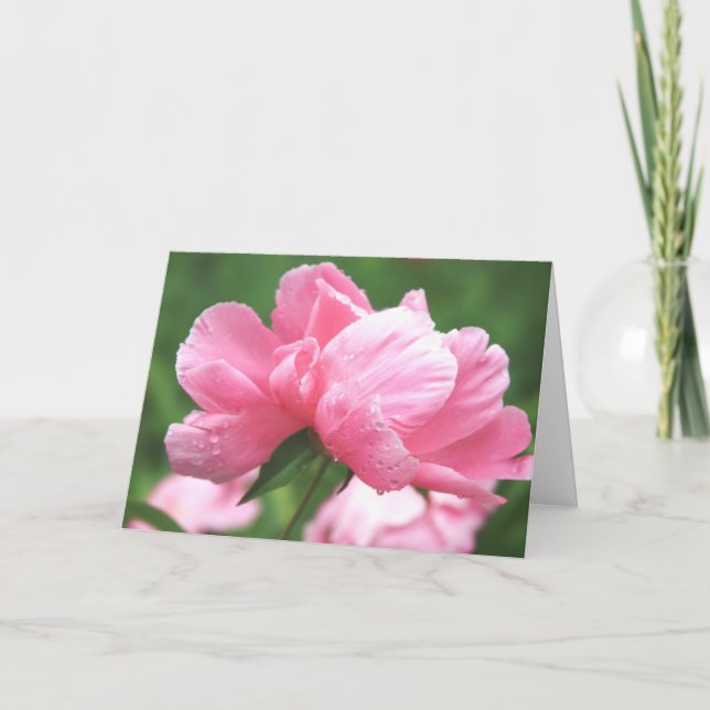 Pink Peonies Greeting Card Karte (Vorderseite)
