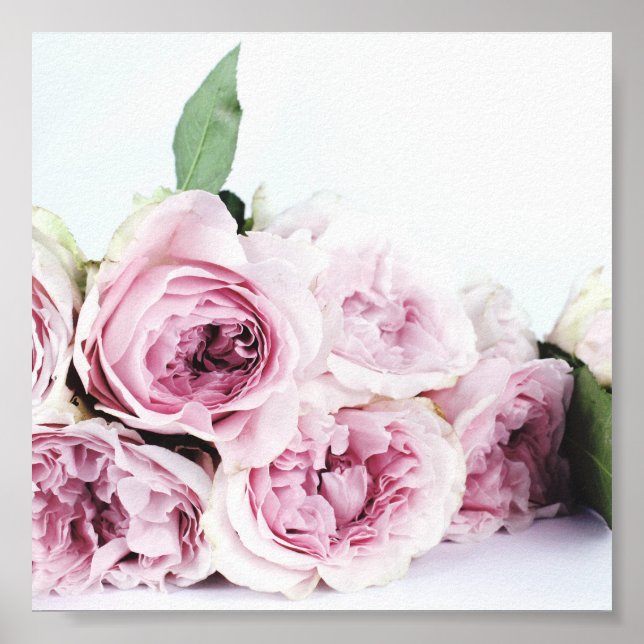 PINK PEONIES PHOTOGRAPH POSTER (Vorne)