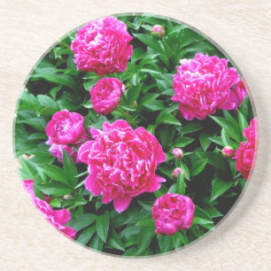 Pink Peonies Untersetzer