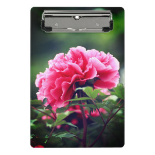 Pink Peony Blume im Garten-33333 Mini Klemmbrett