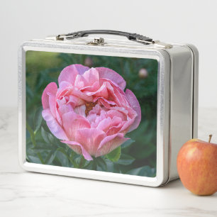 Pink Peony Blume, kanadische Fotografie Metall Brotdose