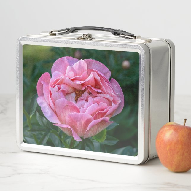 Pink Peony Blume, kanadische Fotografie Metall Brotdose (Beispiel)
