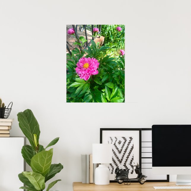 Pink Peony Blume von Black Iron Fence Foto Poster (Heimbüro)