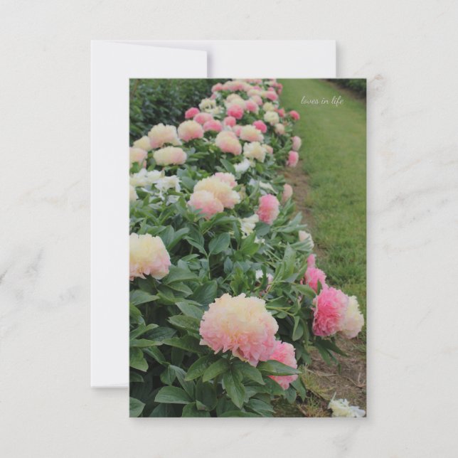 Pink Peony Border Mitteilungskarte (Vorderseite)