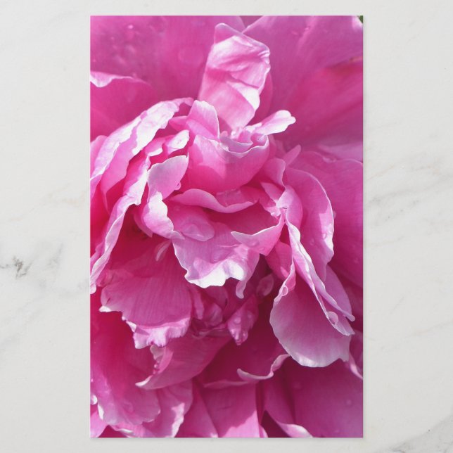 Pink Peony Briefpapier (Vorderseite)