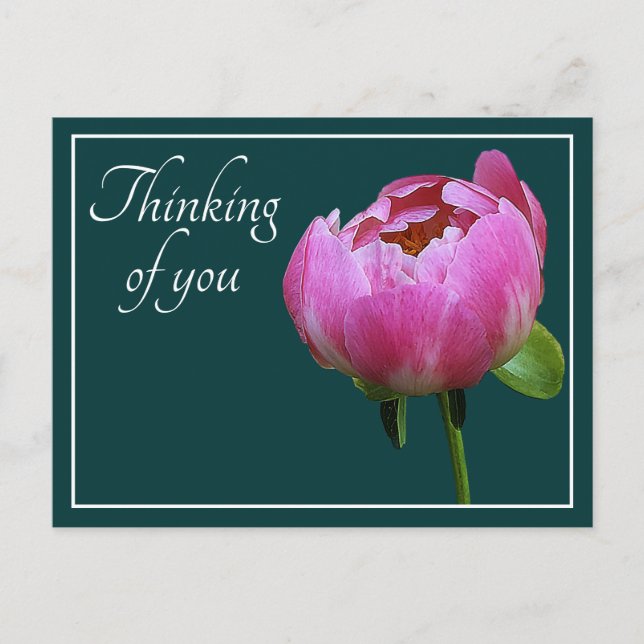 Pink Peony Cyan Hintergrund Denken Sie an Sie Postkarte (Vorderseite)