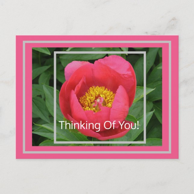 PINK PEONY/DENKEN POSTKARTE (Vorderseite)