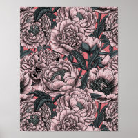 Pink peony flowers and moths