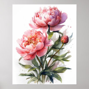 Pink Peony Flowers Art Imprimer Poster