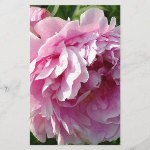 Pink Peony Foto Hütte Bauernhof Blumengarten Briefpapier