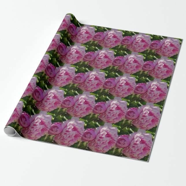 Pink Peony Foto Hütte Bauernhof Blumengarten Geschenkpapier (Ungerollt)