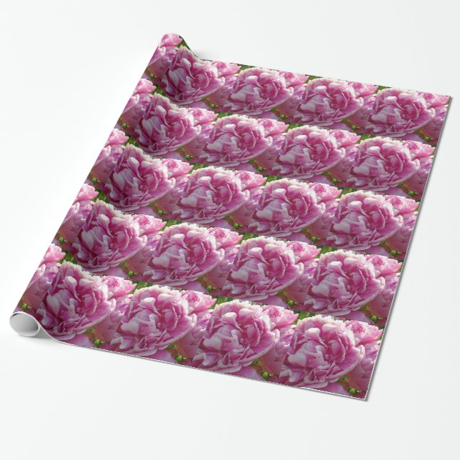 Pink Peony Foto Hütte Bauernhof Blumengarten Geschenkpapier (Ungerollt)