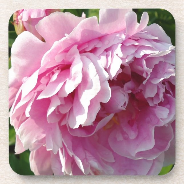 Pink Peony Foto Hütte Bauernhof Blumengarten Getränkeuntersetzer (Vorderseite)