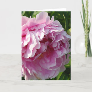Pink Peony Foto Hütte Bauernhof Blumengarten Karte