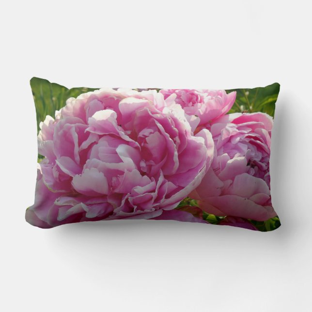 Pink Peony Foto Hütte Bauernhof Blumengarten Lendenkissen (Vorderseite)