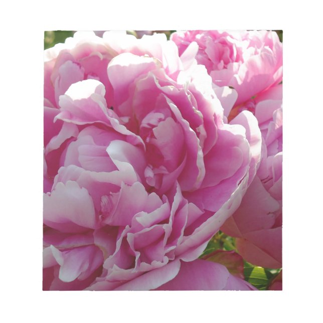 Pink Peony Foto Hütte Bauernhof Blumengarten Notizblock (Vorderseite)
