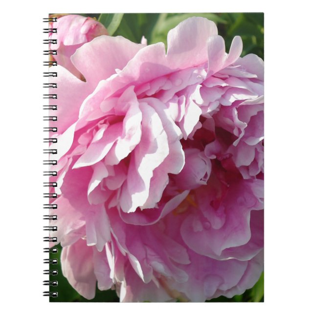 Pink Peony Foto Hütte Bauernhof Blumengarten Notizblock (Vorderseite)