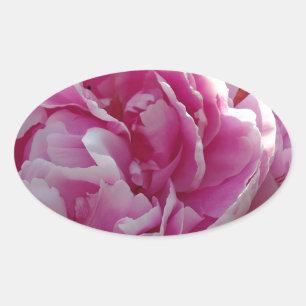 Pink Peony Foto Hütte Bauernhof Blumengarten Ovaler Aufkleber