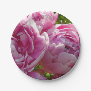 Pink Peony Foto Hütte Bauernhof Blumengarten Pappteller