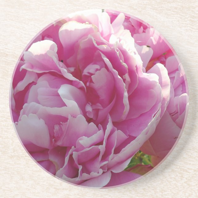 Pink Peony Foto Hütte Bauernhof Blumengarten Sandstein Untersetzer (Vorne)