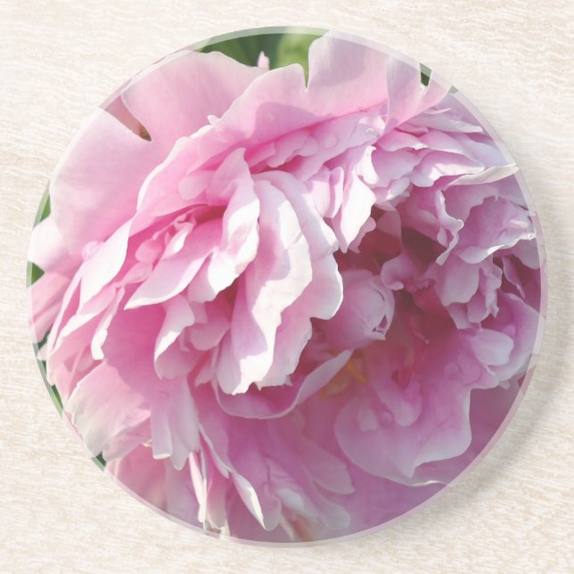 Pink Peony Foto Hütte Bauernhof Blumengarten Sandstein Untersetzer (Vorne)