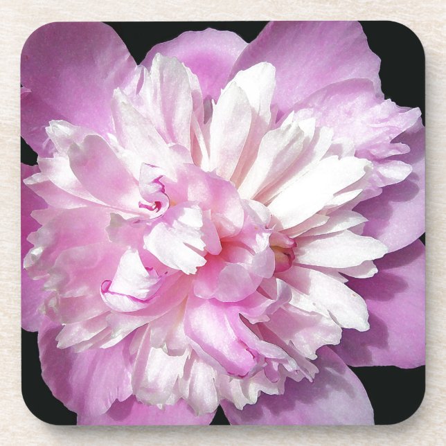 Pink Peony Getränkeuntersetzer (Vorderseite)