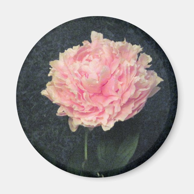 Pink Peony Magnet (Vorne)