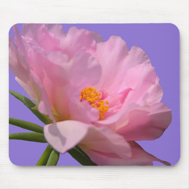 Pink Peony Mousepad (Vorne)