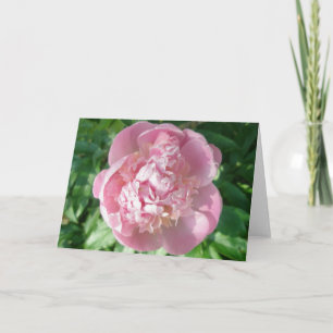 Pink Peony Note Card Feiertagskarte